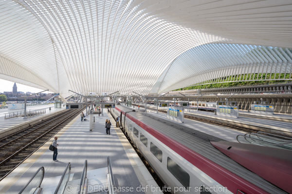 gare de Liège-Guillemins
Liege-Guillemins railway station